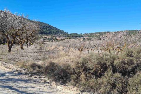 Landejendom i Biar, Alicante, Biar - € 198.000 | Ref: SF0491 - foto 26